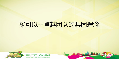 杨可以--卓越团队的共同理念