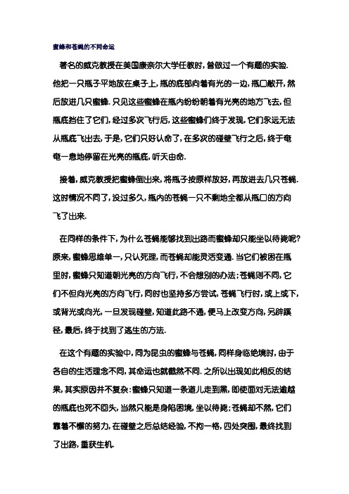 蜜蜂和苍蝇的不同命运