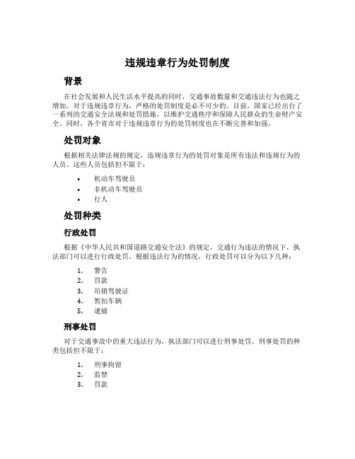 违规违章行为处罚制度