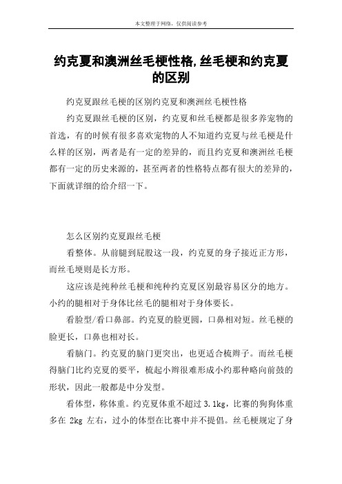 约克夏和澳洲丝毛梗性格,丝毛梗和约克夏的区别