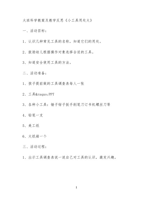 大班科学教案及教学反思《小工具用处大》