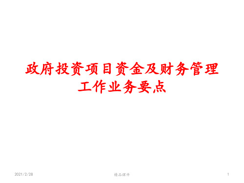 政府投资项目业务简介ppt课件