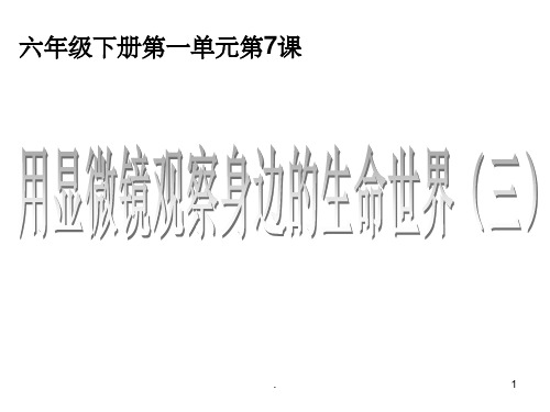六年级下册科学1.7用显微镜观察身边的生命世界三教科版