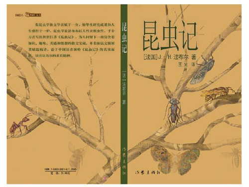 《绿色蝈蝈》ppt课件(28页)