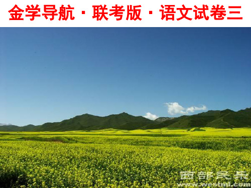 金学导航·联考版·语文试卷三定稿 【刘希国】资料