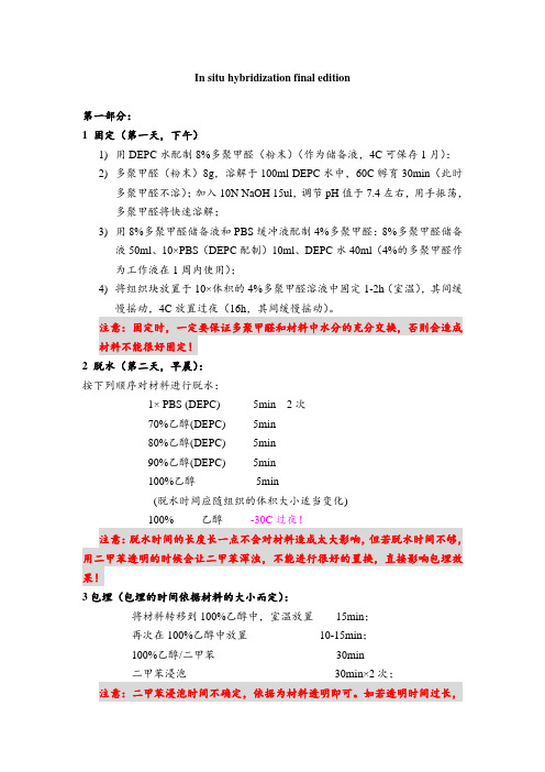 实验室中文版原位杂交