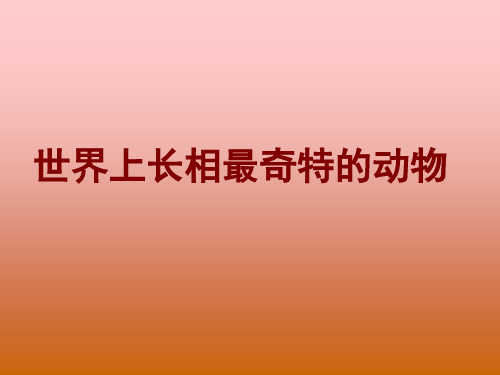 大千世界--奇特动物