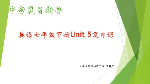 初三英语中考复习指导七年级下册Unit 5课件