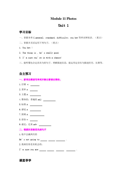 Module-11-Photos-导学案-(学生版)