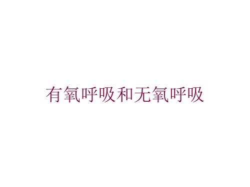 有氧呼吸和无氧呼吸培训课件