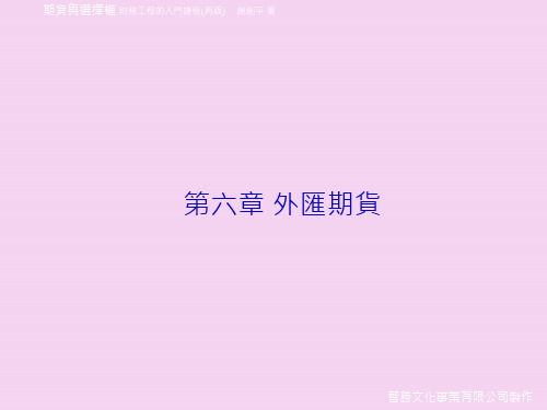 六章外汇期货ppt课件