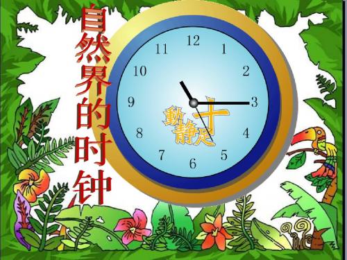 第六册语文：第十单元《自然界的时钟》ppt课件(长春版)