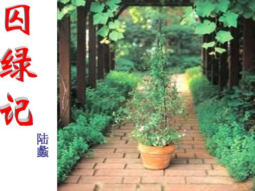 囚绿记郑淑菊2