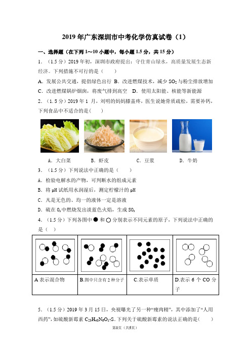2019年广东深圳市中考化学最新仿真试卷(1)及答案