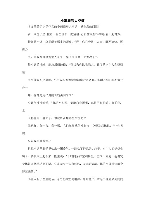 小蒲扇和大空调_小学作文