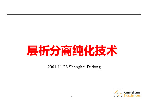 AKTA 层析分离技术PROTEINPPT课件