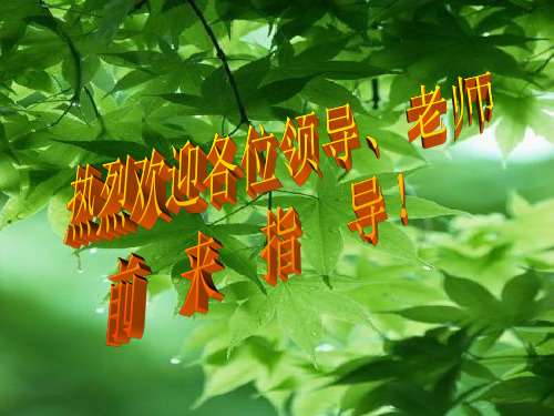 琵琶行(图文拓展版)