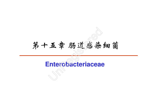 15 肠道感染细菌