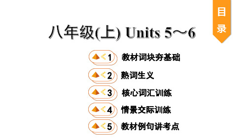 人教版中考复习9. 八年级(上) Units 5～6