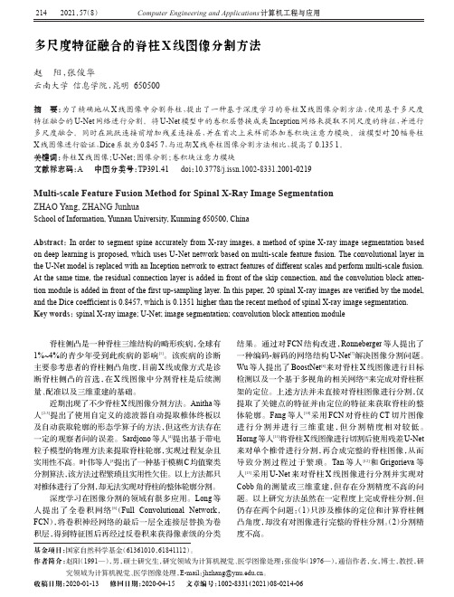 多尺度特征融合的脊柱X线图像分割方法