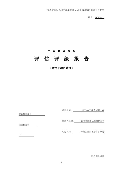 鄂尔多斯市亿鼎煤化工评估_建行