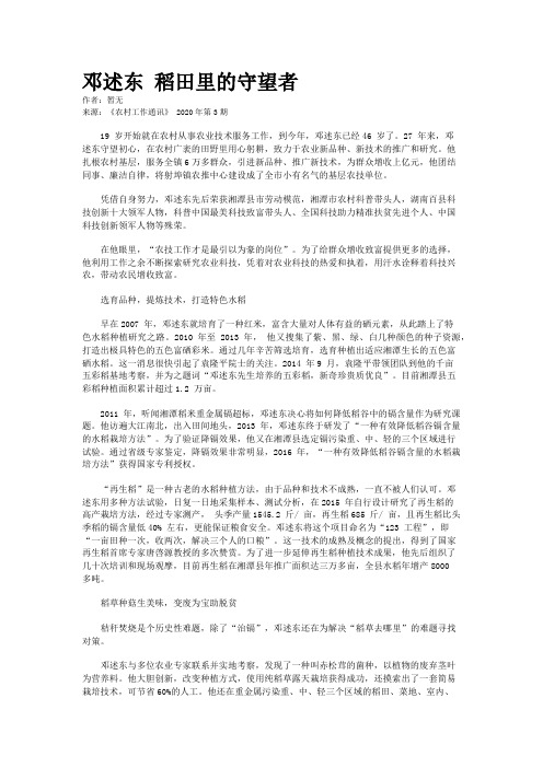 邓述东 稻田里的守望者