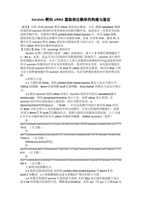 Survivin靶向siRNA重组表达载体的构建与鉴定