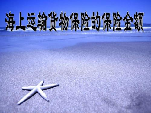 海上货物运输的保险金额课件