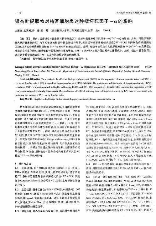 银杏叶提取物对枯否细胞表达肿瘤坏死因子-α的影响