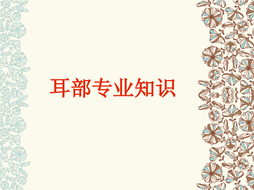 耳部专业知识医学PPT课件