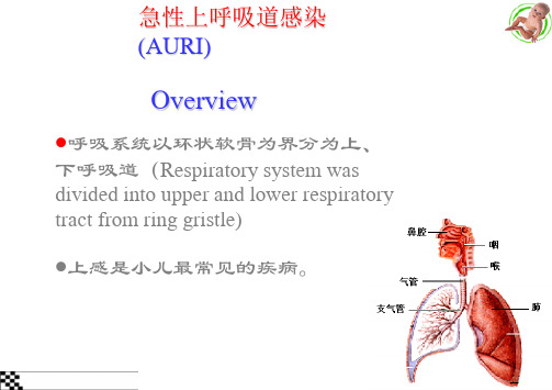 上呼吸道感染-儿科ppt课件