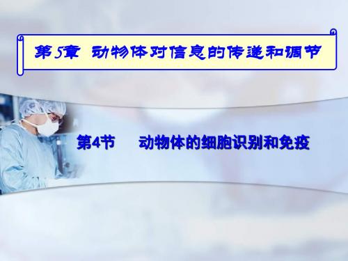 高二生物课件-《动物体的细胞识别和免疫》课件 最新