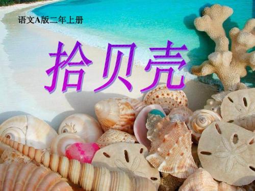 二年级语文上册《》拾贝壳 课件