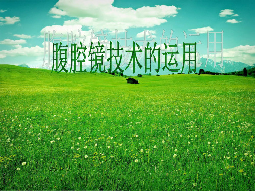 《腹腔镜手术》ppt课件