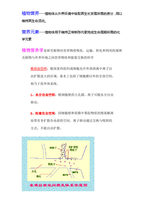 植物营养学笔记(中国农大网上教程)