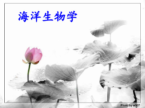 海洋生物学课件