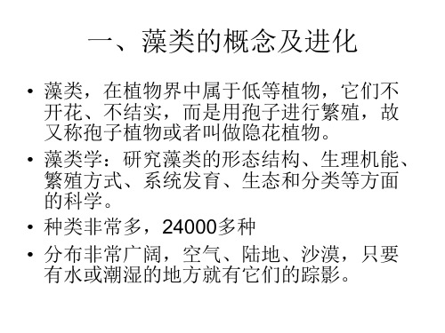 藻类学教学