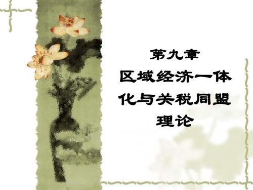 第9章 区域经济一体化与关税同盟理论