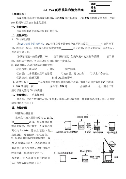 人教版高中生物选修Ⅰ导学案设计：5.1DNA的粗提取和鉴定无答案