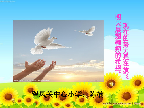 成反比例的量课件