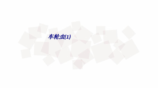 车轮虫专题培训课件