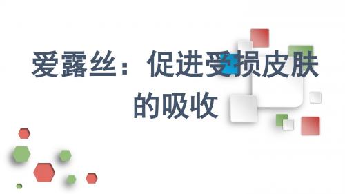 爱露丝：促进受损皮肤的吸收