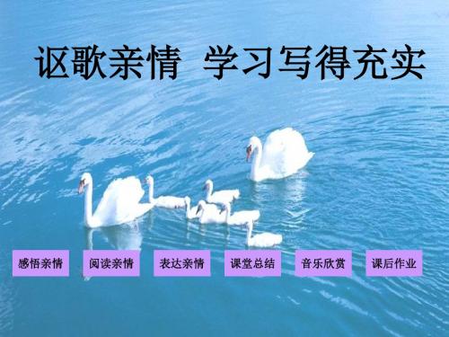 讴歌亲情 学习写得充实