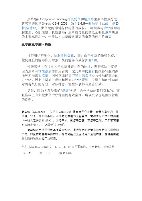 蛹虫草简介