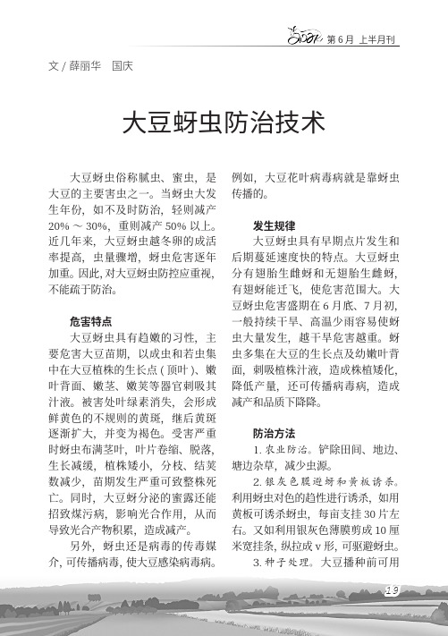 大豆蚜虫防治技术