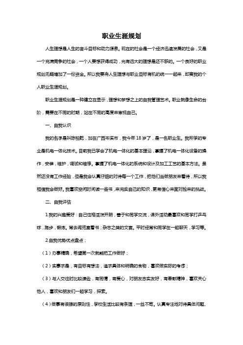 职业生涯规划(帮孙主任录入)