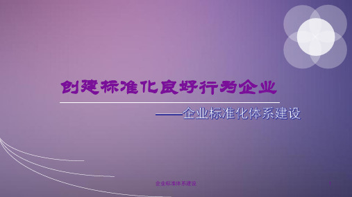 企业标准体系建设课件