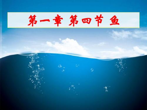 新人教版生物第五单元第一章第四节_鱼