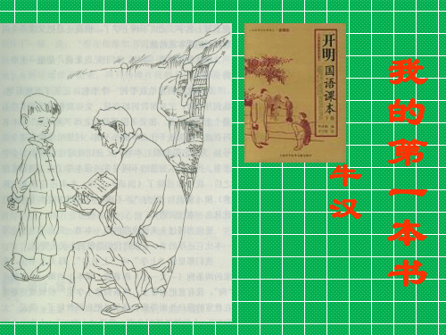 八年级语文下册第一单元3我的第一本书课件(新版)新人教版