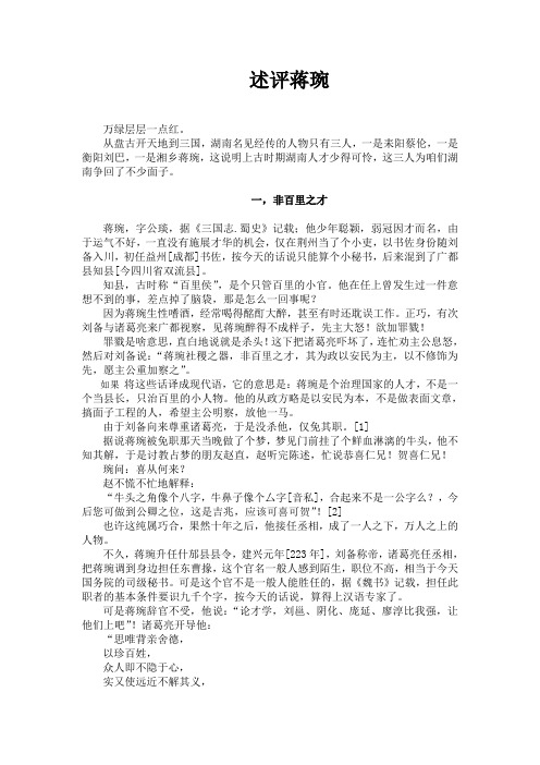 述评蒋琬